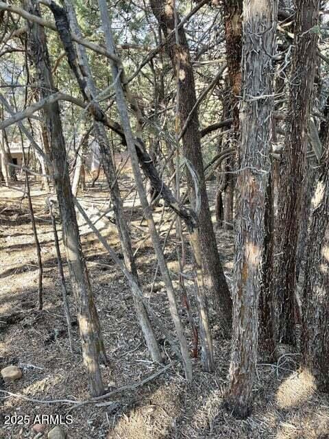 9 Lodgepole Cir Unit 9, Pine, AZ 85544