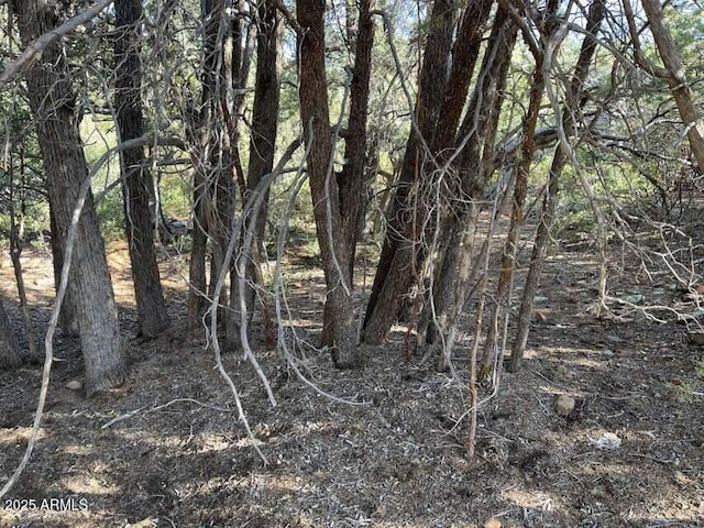 9 Lodgepole Cir Unit 9, Pine, AZ 85544