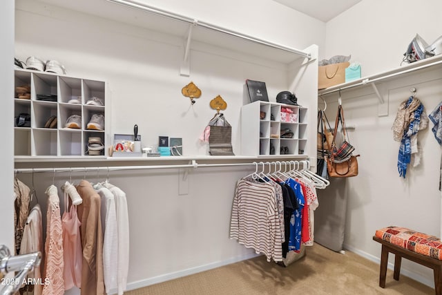 3022 E Santa Fe Ln, Gilbert, AZ 85297 - spacious closet featuring carpet
