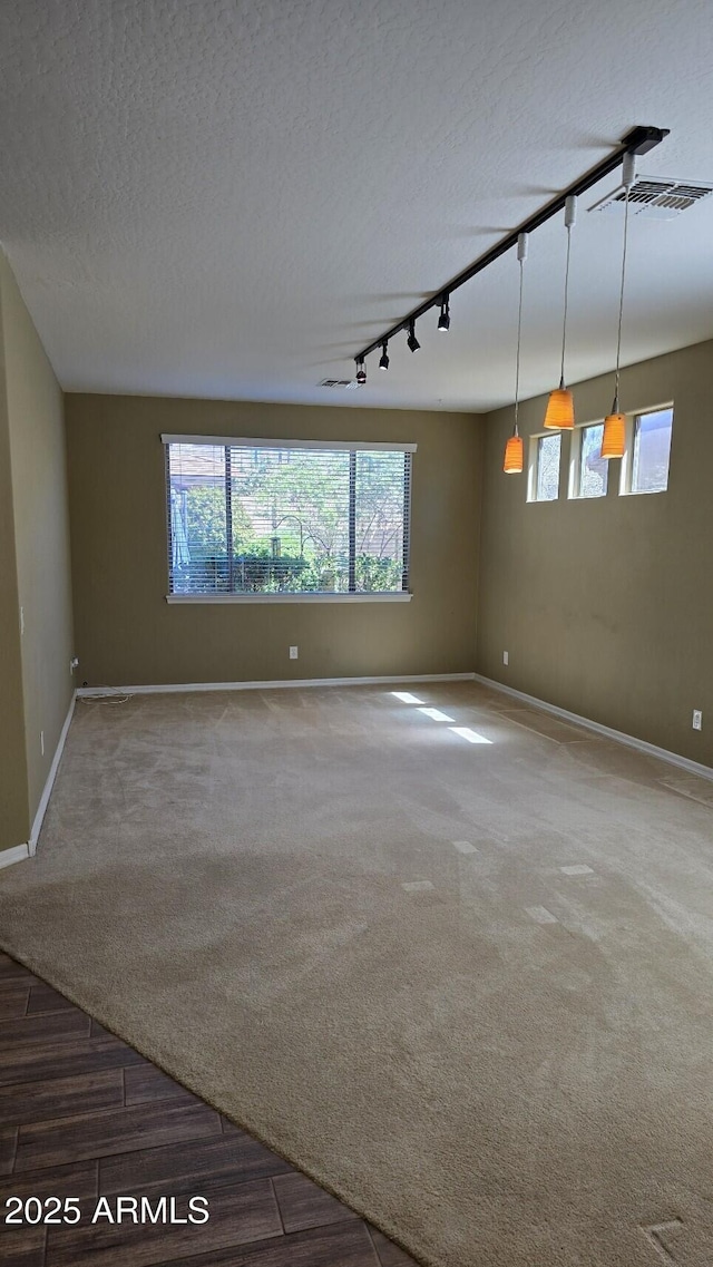 carpeted empty room with baseboards, track lighting, healthy amount of natural light, a textured ceiling, and wood finished floors