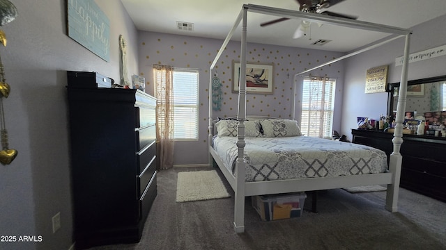 10036 W Chipman Rd, Tolleson, AZ 85353 - carpeted bedroom with multiple windows and a ceiling fan