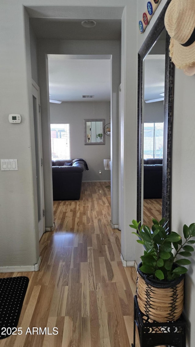 10036 W Chipman Rd, Tolleson, AZ 85353 - hallway with wood finished floors and plenty of natural light