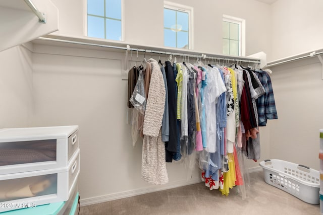 spacious closet featuring carpet flooring