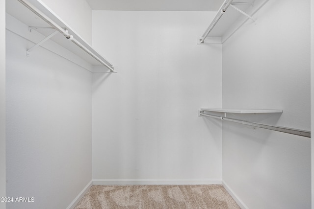 spacious closet featuring carpet floors