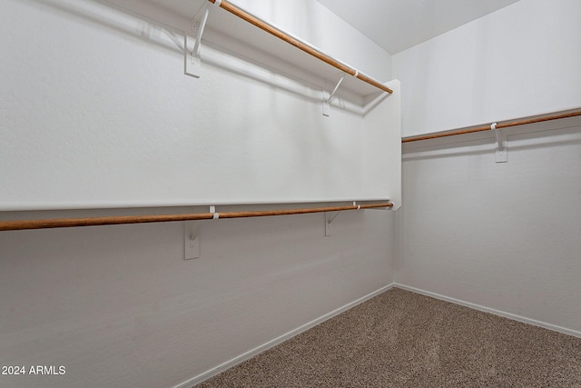 walk in closet with carpet floors