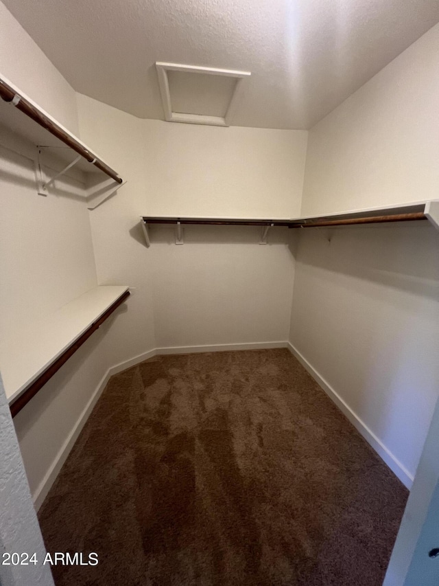 walk in closet featuring attic access and carpet flooring