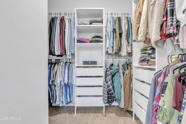 walk in closet featuring carpet floors