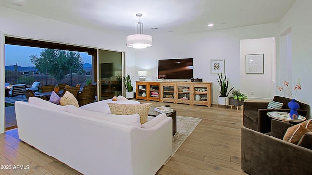 living room featuring light hardwood / wood-style floors