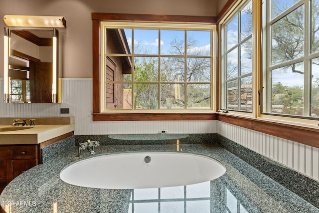 bathroom featuring a healthy amount of sunlight and vanity with extensive cabinet space