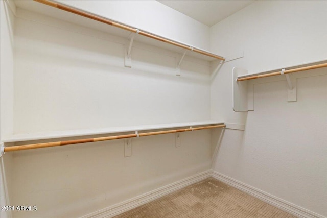 walk in closet with light carpet