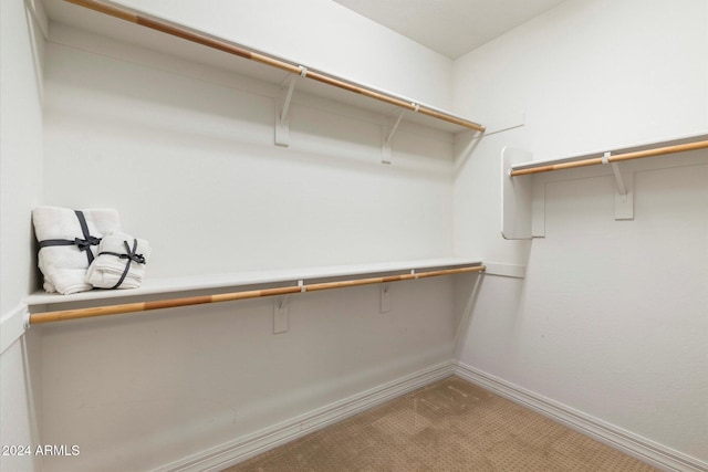 view of spacious closet
