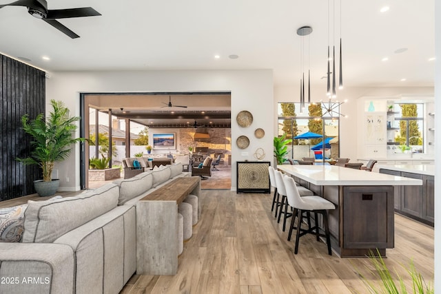 2656 E Oriole Dr, Gilbert, AZ 85297 - living room featuring ceiling fan and light hardwood / wood-style flooring