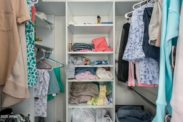 view of walk in closet