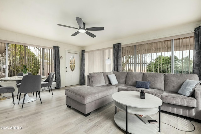 living room with light wood finished floors and ceiling fan