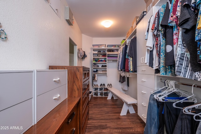 spacious closet featuring dark hardwood / wood-style floors