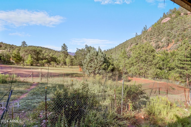 view of yard with a mountain view and a rural view