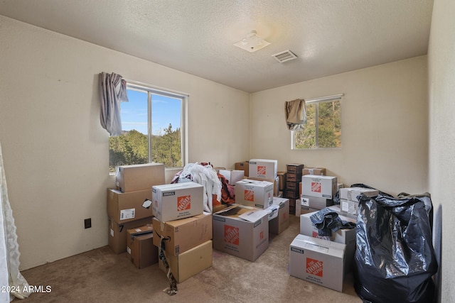 view of storage room