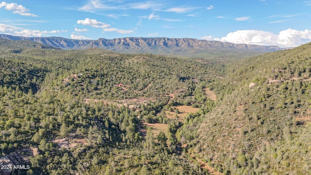 view of mountain feature