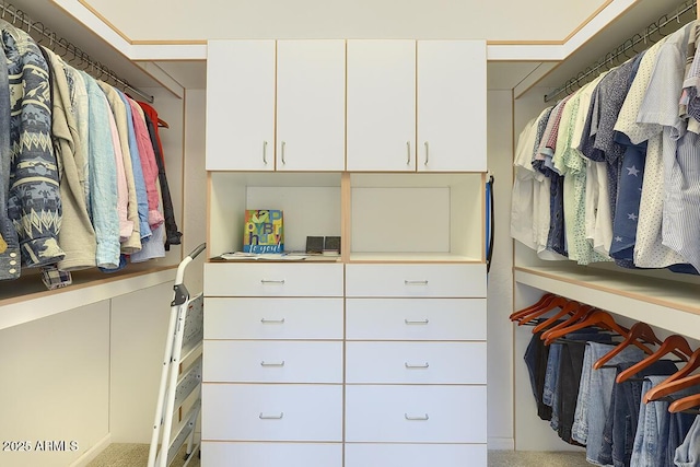 10068 E Cinnabar Ave, Scottsdale, AZ 85258 - view of walk in closet