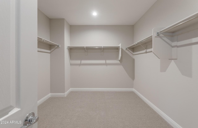 spacious closet featuring carpet