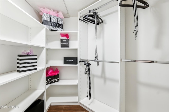 view of walk in closet