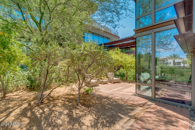 view of yard featuring a patio