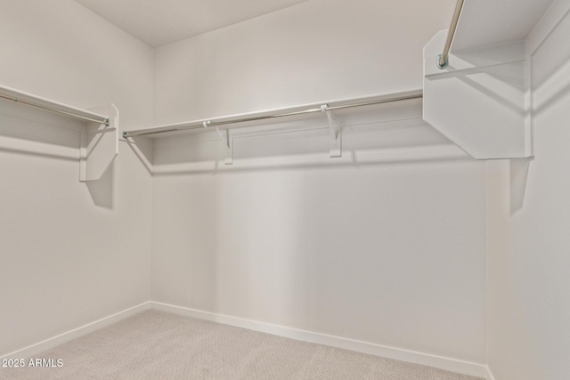 walk in closet featuring light colored carpet