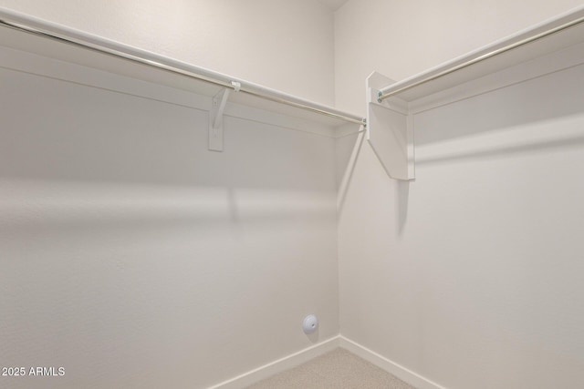 spacious closet featuring carpet