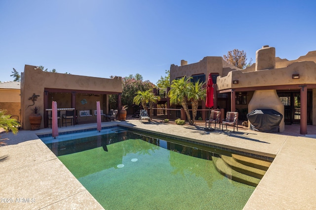 pool featuring a patio and area for grilling