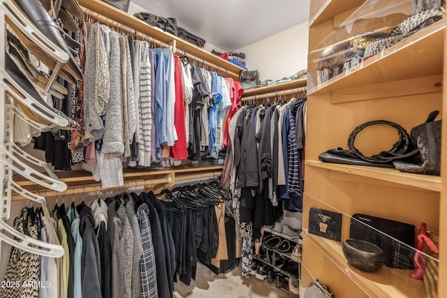 view of walk in closet