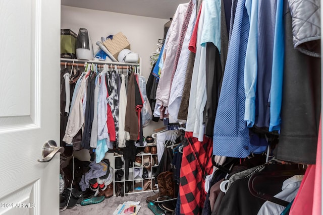 spacious closet featuring carpet flooring