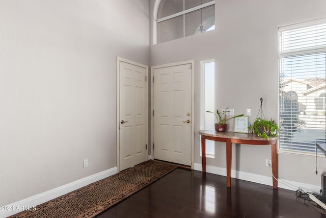 entrance foyer with dark hardwood / wood-style flooring and a high ceiling