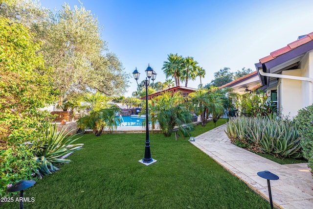 6941 W Voltaire Ave, Peoria, AZ 85381 - view of green lawn featuring an outdoor pool and a ceiling fan