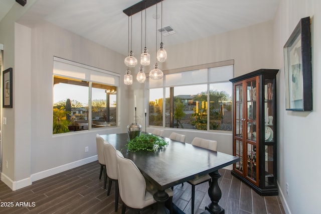 dining area featuring plenty of natural light and dark wood-type flooring