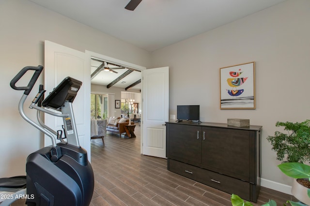 workout area with dark hardwood / wood-style floors and ceiling fan