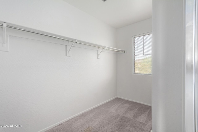 spacious closet featuring carpet floors