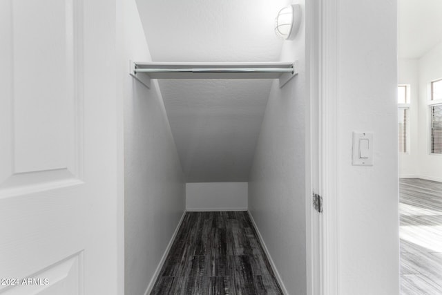 spacious closet featuring wood-type flooring and vaulted ceiling