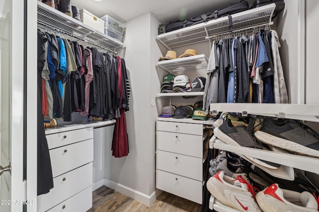 spacious closet with dark hardwood / wood-style flooring