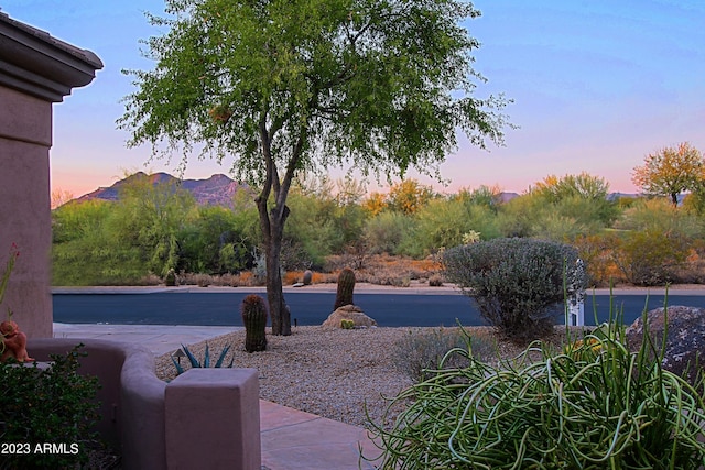 32472 N 68th Pl, Scottsdale, AZ 85266 - view of yard