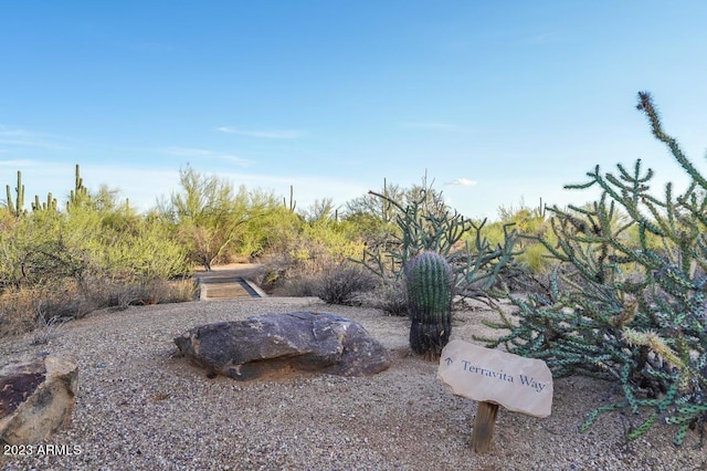 32472 N 68th Pl, Scottsdale, AZ 85266 - view of yard