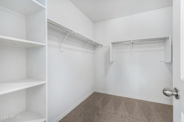 935 E Agua Fria Ln, Avondale, AZ 85323 - spacious closet with carpet floors