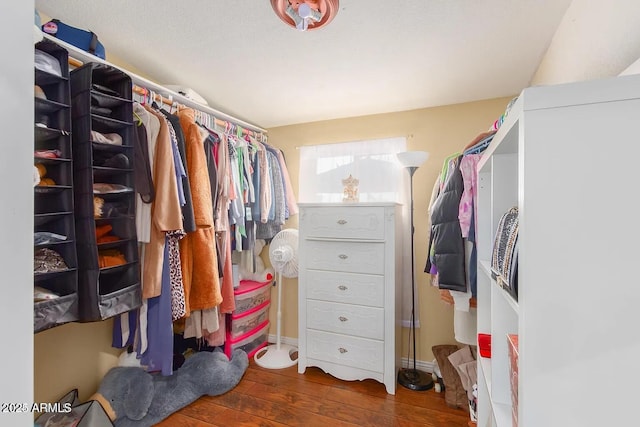 3121 W Greenway Rd, Phoenix, AZ 85053 - walk in closet featuring wood-type flooring