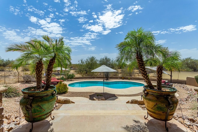 view of pool with a patio area