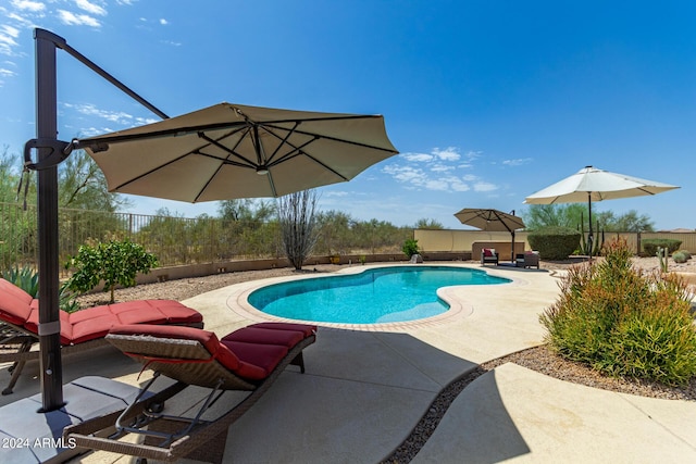 view of pool featuring a patio area