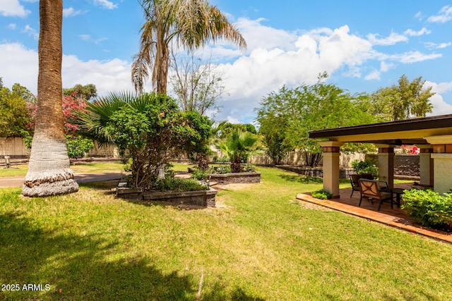 view of grassy yard featuring a patio area