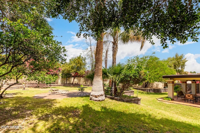 view of green lawn with a patio area
