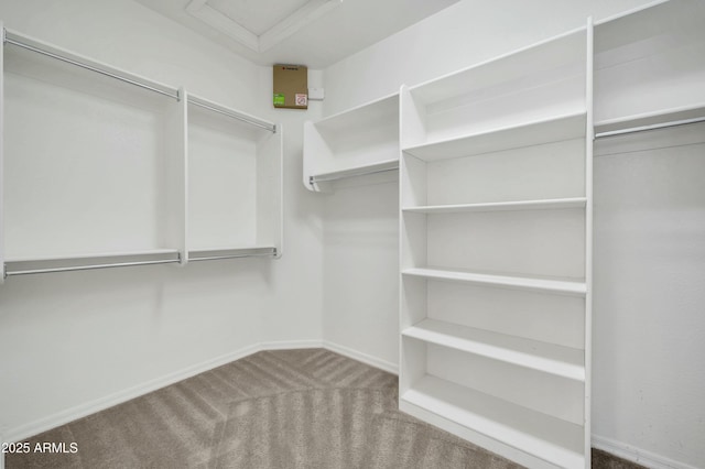 walk in closet with carpet