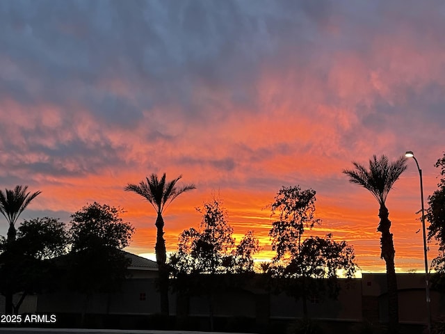 view of nature at dusk