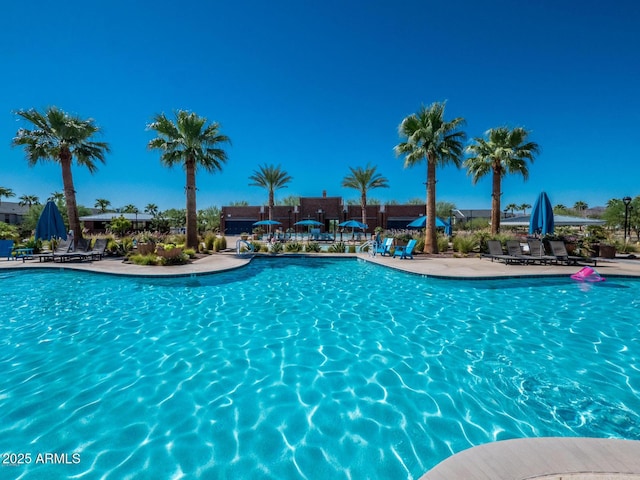 pool featuring a patio area