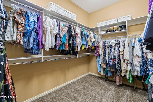 spacious closet featuring carpet floors